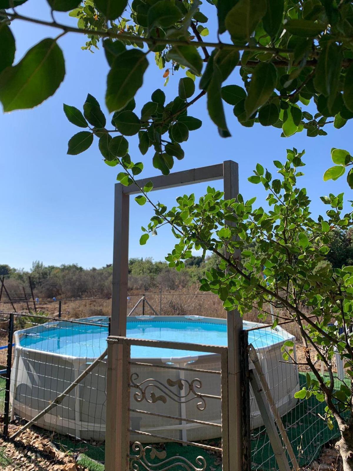 בקתת עץ בחורש במנות - דום גיאודזי - Wooden Cabin In Manot Exterior foto