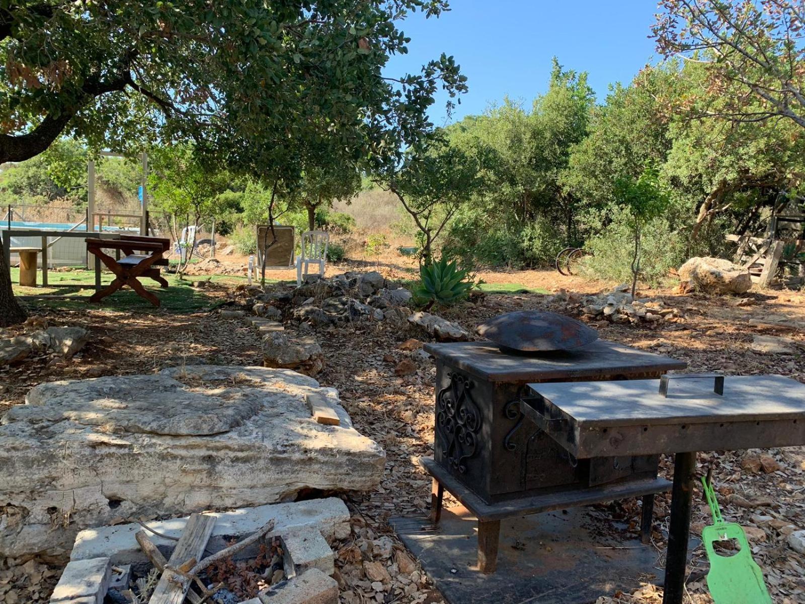 בקתת עץ בחורש במנות - דום גיאודזי - Wooden Cabin In Manot Exterior foto