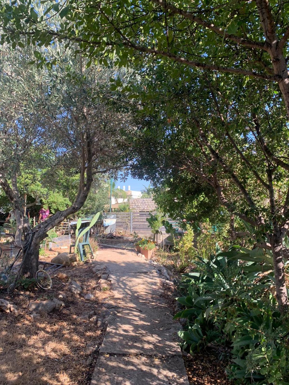 בקתת עץ בחורש במנות - דום גיאודזי - Wooden Cabin In Manot Exterior foto
